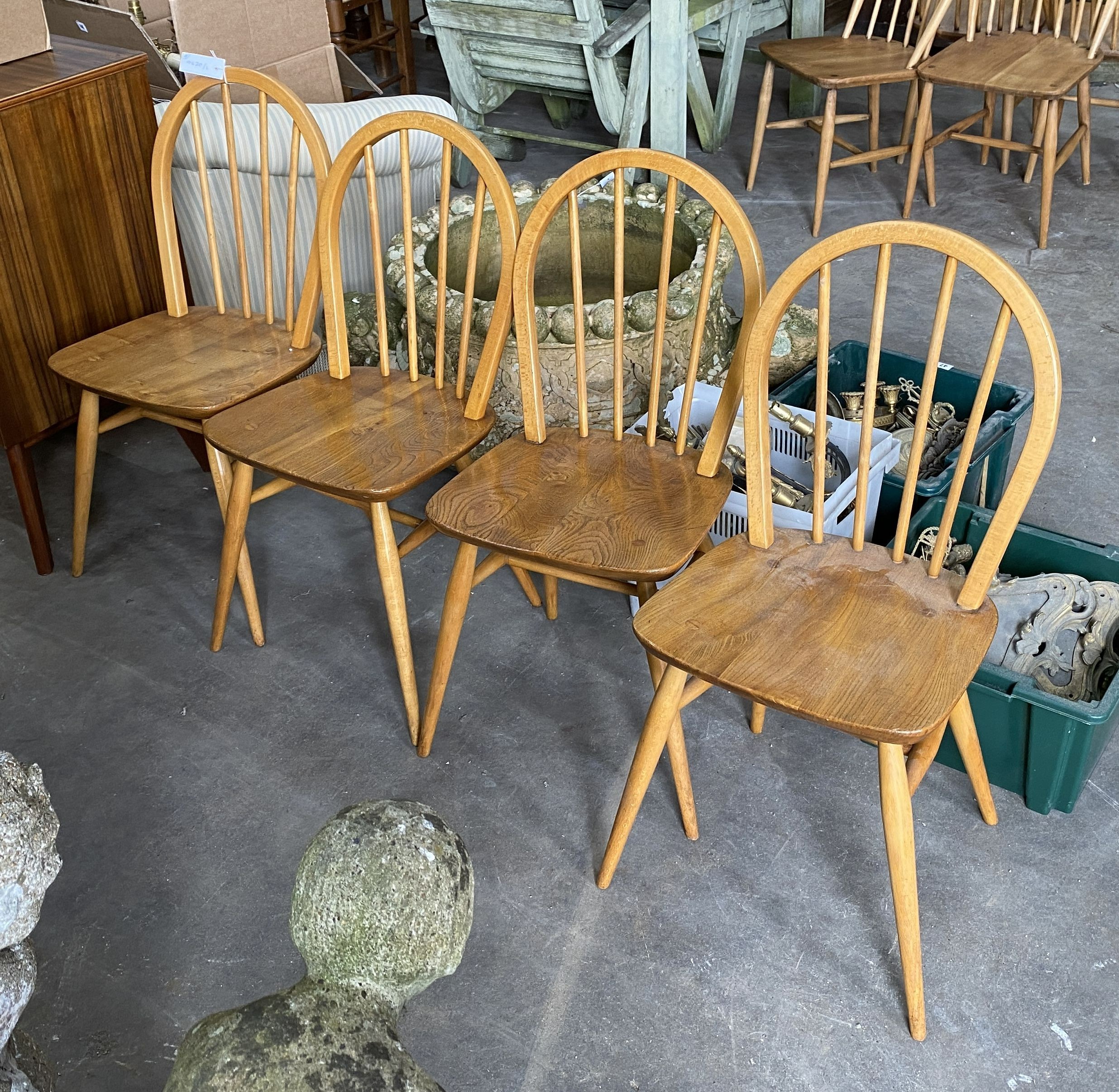 A set of four 1950's Ercol chairs